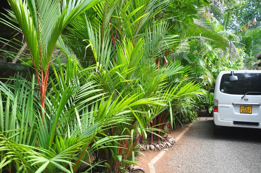 The Fence Bed & Breakfast Bentota Luaran gambar