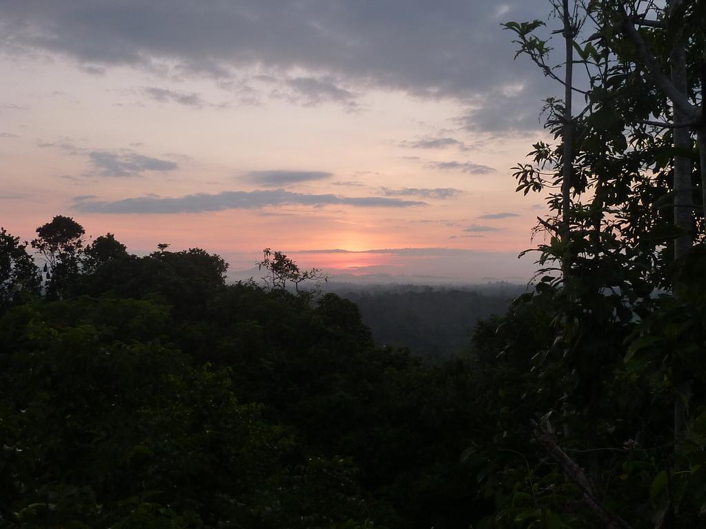 The Fence Bed & Breakfast Bentota Luaran gambar