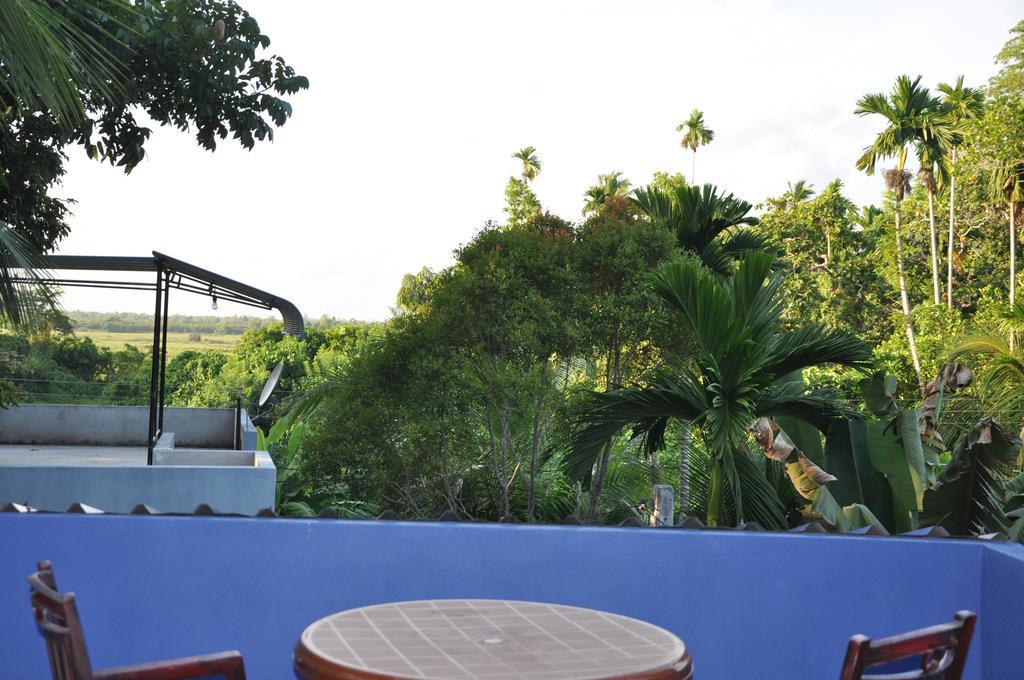 The Fence Bed & Breakfast Bentota Luaran gambar