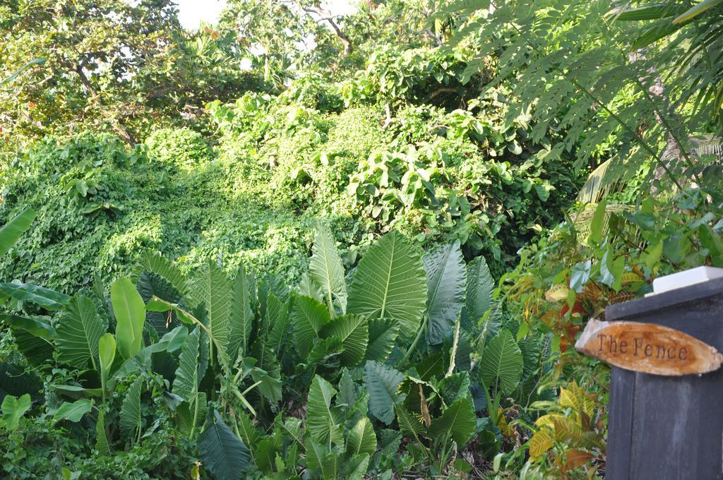 The Fence Bed & Breakfast Bentota Luaran gambar