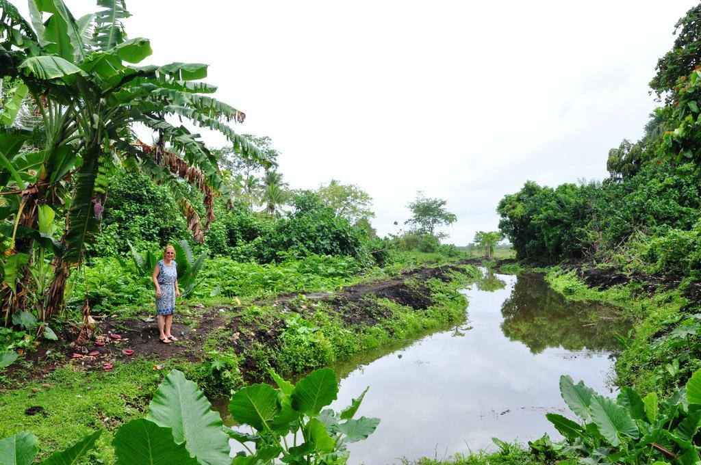 The Fence Bed & Breakfast Bentota Luaran gambar
